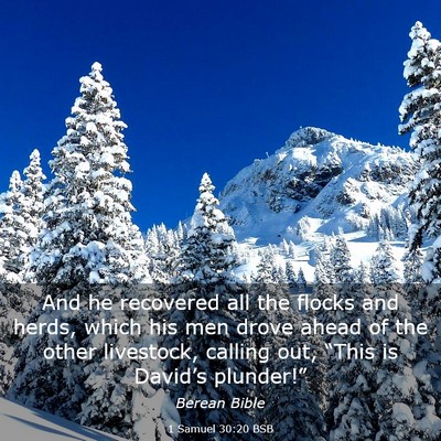 Picture 03 - 1 Samuel 30:20 BSB - And he recovered all the flocks and herds, which - Bible Verse Picture