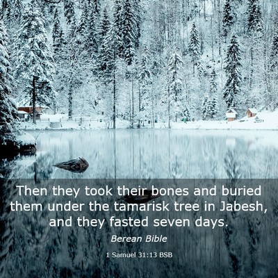Picture 03 - 1 Samuel 31:13 BSB - Then they took their bones and buried them under - Bible Verse Picture