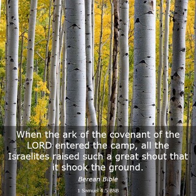 Picture 03 - 1 Samuel 4:5 BSB - When the ark of the covenant of the LORD entered - Bible Verse Picture