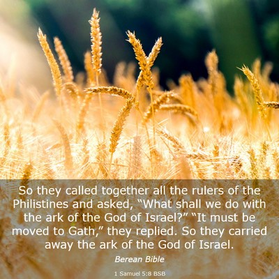 Picture 03 - 1 Samuel 5:8 BSB - So they called together all the rulers of the - Bible Verse Picture