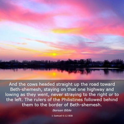 Picture 03 - 1 Samuel 6:12 BSB - And the cows headed straight up the road toward - Bible Verse Picture