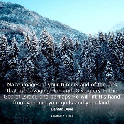Picture 03 - 1 Samuel 6:5 BSB - Make images of your tumors and of the rats that - Bible Verse Picture