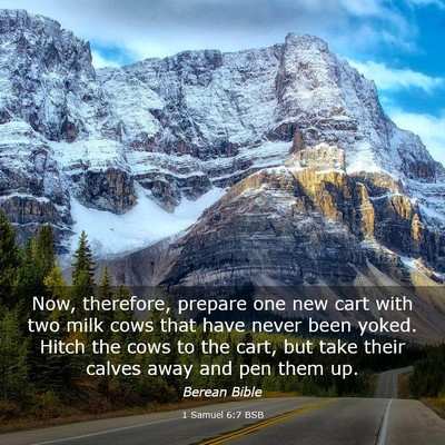 Picture 03 - 1 Samuel 6:7 BSB - Now, therefore, prepare one new cart with two - Bible Verse Picture