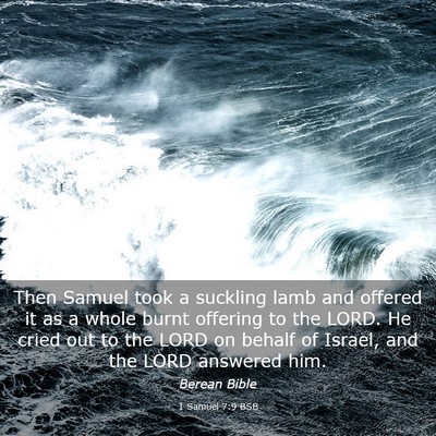 Picture 03 - 1 Samuel 7:9 BSB - Then Samuel took a suckling lamb and offered it - Bible Verse Picture