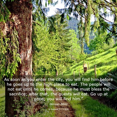 Picture 03 - 1 Samuel 9:13 BSB - As soon as you enter the city, you will find him - Bible Verse Picture