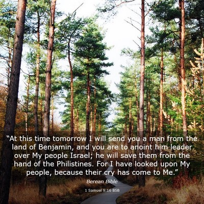 Picture 03 - 1 Samuel 9:16 BSB - “At this time tomorrow I will send you a man - Bible Verse Picture