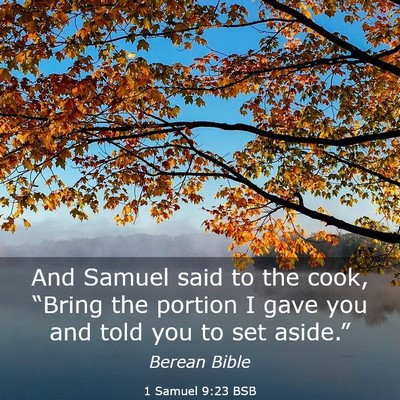 Picture 03 - 1 Samuel 9:23 BSB - And Samuel said to the cook, “Bring the portion - Bible Verse Picture