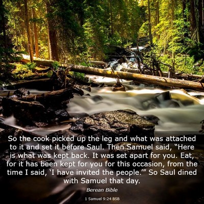 Picture 03 - 1 Samuel 9:24 BSB - So the cook picked up the leg and what was - Bible Verse Picture