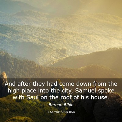 Picture 03 - 1 Samuel 9:25 BSB - And after they had come down from the high place - Bible Verse Picture