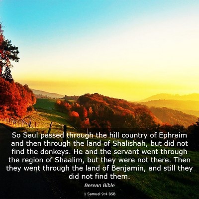 Picture 03 - 1 Samuel 9:4 BSB - So Saul passed through the hill country of - Bible Verse Picture