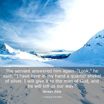 Picture 03 - 1 Samuel 9:8 BSB - The servant answered him again. “Look,” he - Bible Verse Picture