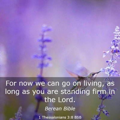 Picture 03 - 1 Thessalonians 3:8 BSB - For now we can go on living, as long as you are - Bible Verse Picture