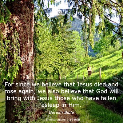 Picture 03 - 1 Thessalonians 4:14 BSB - For since we believe that Jesus died and rose - Bible Verse Picture