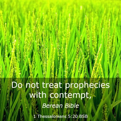 Picture 03 - 1 Thessalonians 5:20 BSB - Do not treat prophecies with - Bible Verse Picture