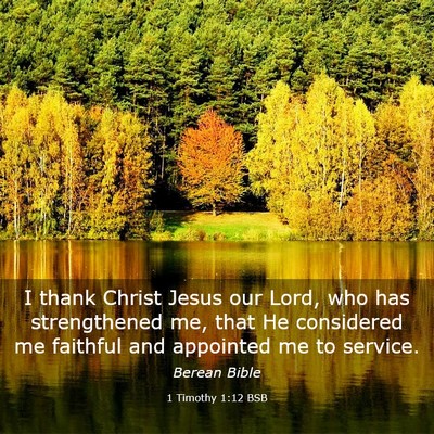 Picture 03 - 1 Timothy 1:12 BSB - I thank Christ Jesus our Lord, who has - Bible Verse Picture