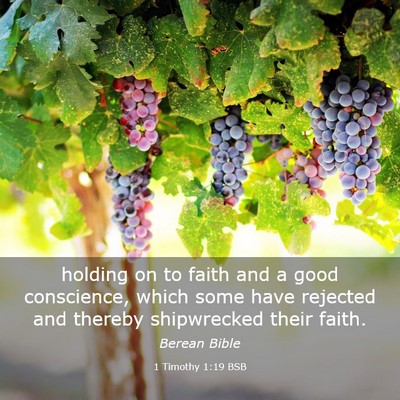 Picture 03 - 1 Timothy 1:19 BSB - holding on to faith and a good conscience, which - Bible Verse Picture