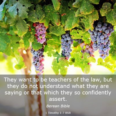 Picture 03 - 1 Timothy 1:7 BSB - They want to be teachers of the law, but they do - Bible Verse Picture