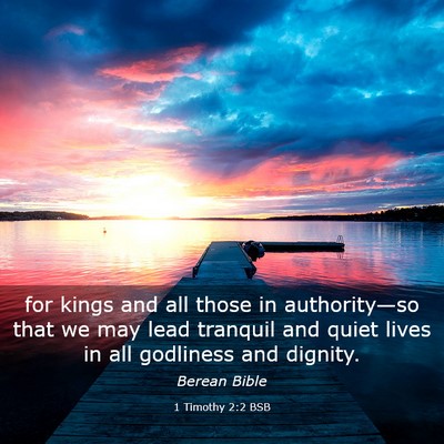Picture 03 - 1 Timothy 2:2 BSB - for kings and all those in authority—so that we - Bible Verse Picture