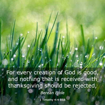 Picture 03 - 1 Timothy 4:4 BSB - For every creation of God is good, and nothing - Bible Verse Picture