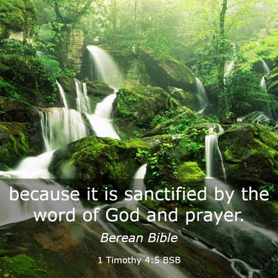 Picture 03 - 1 Timothy 4:5 BSB - because it is sanctified by the word of God and - Bible Verse Picture