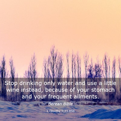 Picture 03 - 1 Timothy 5:23 BSB - Stop drinking only water and use a little wine - Bible Verse Picture