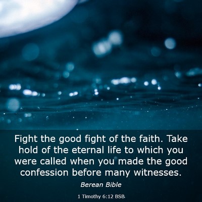 Picture 03 - 1 Timothy 6:12 BSB - Fight the good fight of the faith. Take hold of - Bible Verse Picture