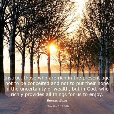 Picture 03 - 1 Timothy 6:17 BSB - Instruct those who are rich in the present age - Bible Verse Picture