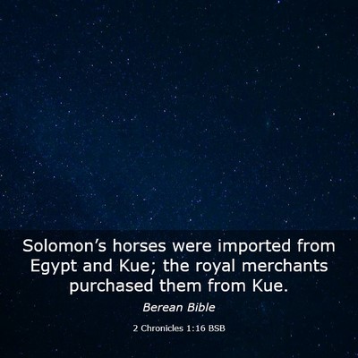 Picture 03 - 2 Chronicles 1:16 BSB - Solomon’s horses were imported from Egypt and - Bible Verse Picture