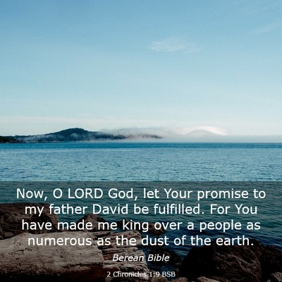 Picture 03 - 2 Chronicles 1:9 BSB - Now, O LORD God, let Your promise to my father - Bible Verse Picture
