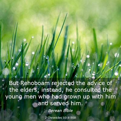 Picture 03 - 2 Chronicles 10:8 BSB - But Rehoboam rejected the advice of the elders; - Bible Verse Picture