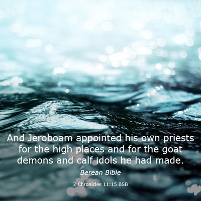 Picture 03 - 2 Chronicles 11:15 BSB - And Jeroboam appointed his own priests for the - Bible Verse Picture