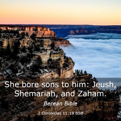 Picture 03 - 2 Chronicles 11:19 BSB - She bore sons to him: Jeush, Shemariah, and - Bible Verse Picture