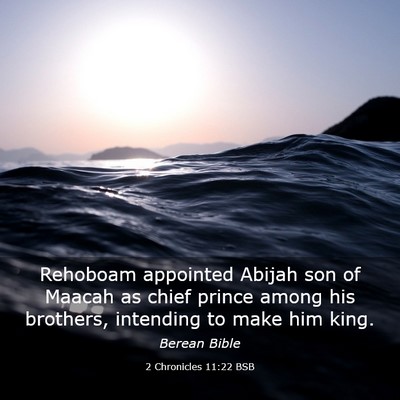 Picture 03 - 2 Chronicles 11:22 BSB - Rehoboam appointed Abijah son of Maacah as chief - Bible Verse Picture