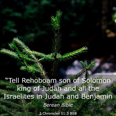 Picture 03 - 2 Chronicles 11:3 BSB - “Tell Rehoboam son of Solomon king of Judah and - Bible Verse Picture