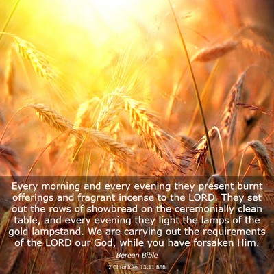 Picture 03 - 2 Chronicles 13:11 BSB - Every morning and every evening they present - Bible Verse Picture