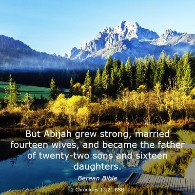 Picture 03 - 2 Chronicles 13:21 BSB - But Abijah grew strong, married fourteen wives, - Bible Verse Picture