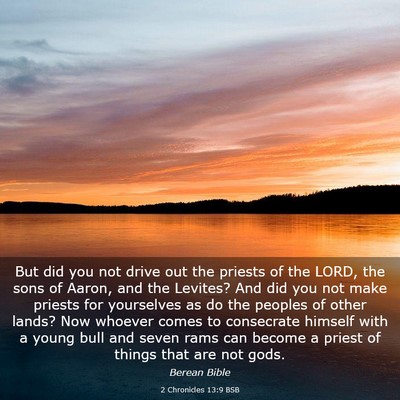 Picture 03 - 2 Chronicles 13:9 BSB - But did you not drive out the priests of the - Bible Verse Picture