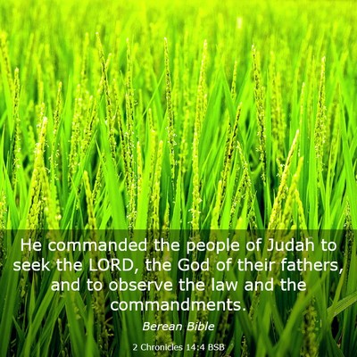 Picture 03 - 2 Chronicles 14:4 BSB - He commanded the people of Judah to seek the - Bible Verse Picture