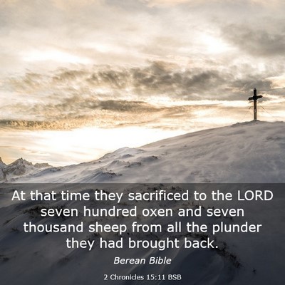 Picture 03 - 2 Chronicles 15:11 BSB - At that time they sacrificed to the LORD seven - Bible Verse Picture
