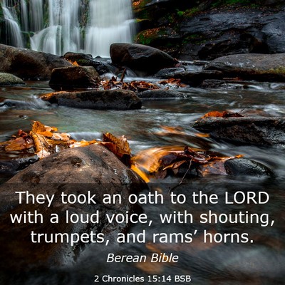 Picture 03 - 2 Chronicles 15:14 BSB - They took an oath to the LORD with a loud voice, - Bible Verse Picture