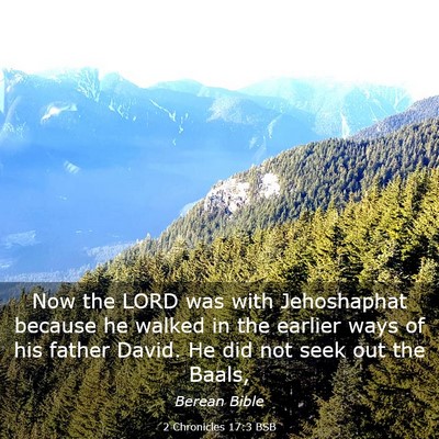 Picture 03 - 2 Chronicles 17:3 BSB - Now the LORD was with Jehoshaphat because he - Bible Verse Picture