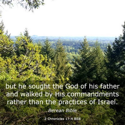 Picture 03 - 2 Chronicles 17:4 BSB - but he sought the God of his father and walked by - Bible Verse Picture