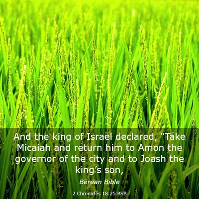 Picture 03 - 2 Chronicles 18:25 BSB - And the king of Israel declared, “Take Micaiah - Bible Verse Picture