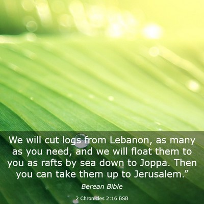 Picture 03 - 2 Chronicles 2:16 BSB - We will cut logs from Lebanon, as many as you - Bible Verse Picture