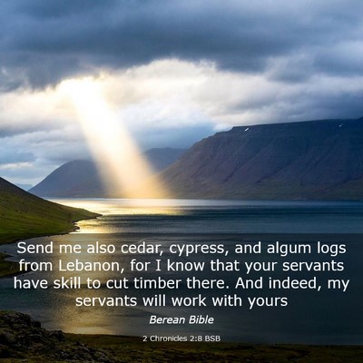 Picture 03 - 2 Chronicles 2:8 BSB - Send me also cedar, cypress, and algum logs from - Bible Verse Picture