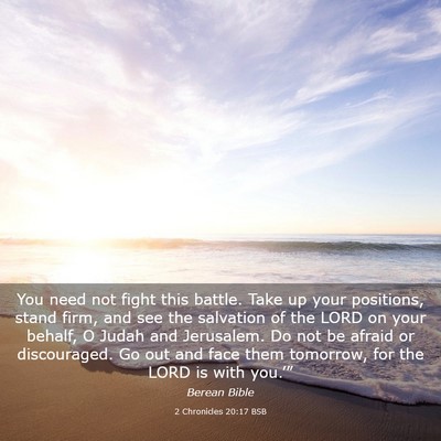 Picture 03 - 2 Chronicles 20:17 BSB - You need not fight this battle. Take up your - Bible Verse Picture