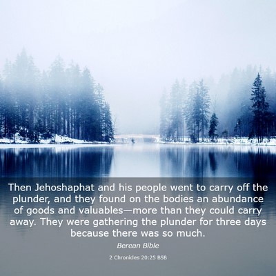 Picture 03 - 2 Chronicles 20:25 BSB - Then Jehoshaphat and his people went to carry off - Bible Verse Picture