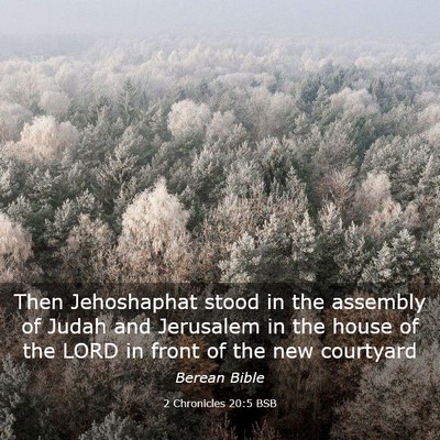 Picture 03 - 2 Chronicles 20:5 BSB - Then Jehoshaphat stood in the assembly of Judah - Bible Verse Picture