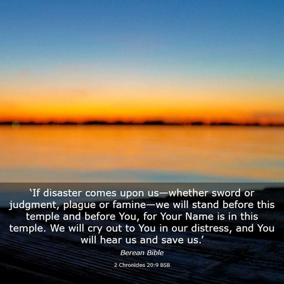 Picture 03 - 2 Chronicles 20:9 BSB - ‘If disaster comes upon us—whether sword or - Bible Verse Picture