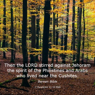 Picture 03 - 2 Chronicles 21:16 BSB - Then the LORD stirred against Jehoram the spirit - Bible Verse Picture